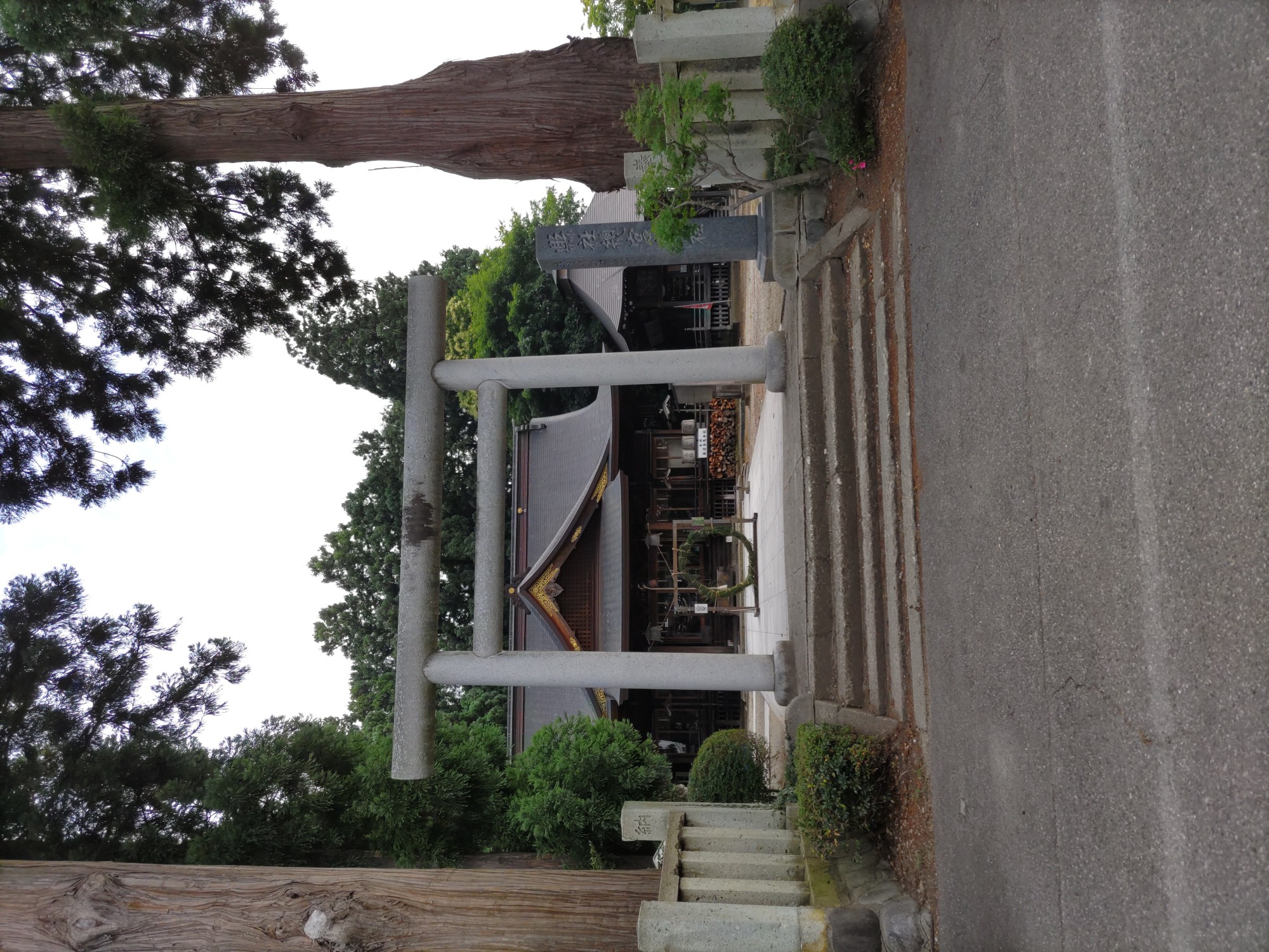 散歩 カワサキトーヨー住器 那須那珂川のブログ 写真1