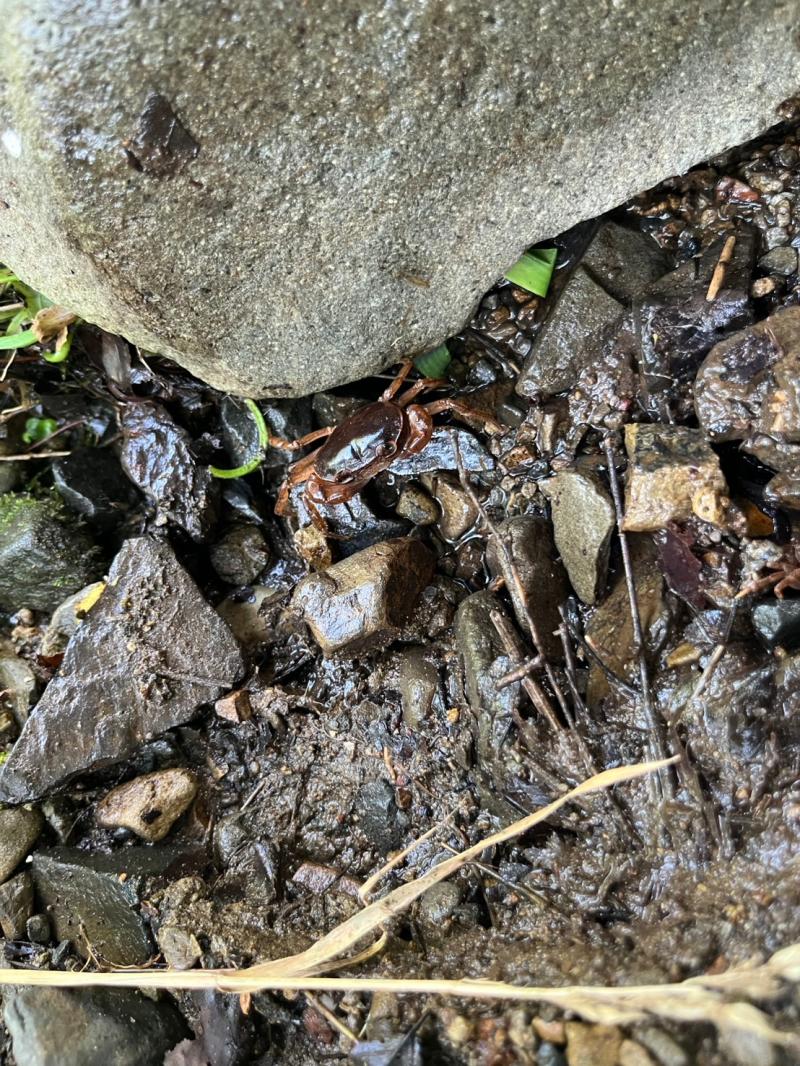 キャンプ カワサキトーヨー住器 那須那珂川のブログ 写真3