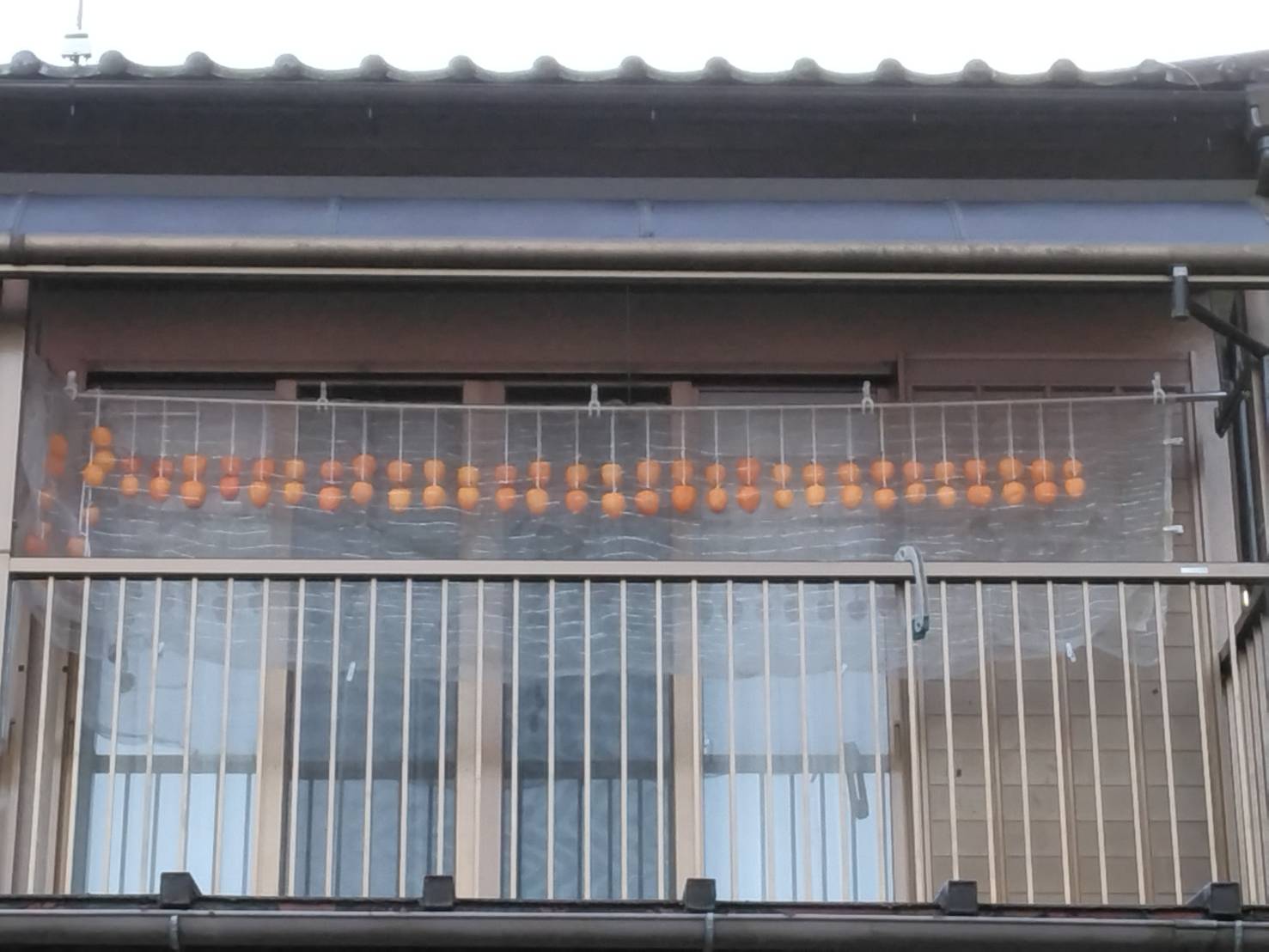 今年も カワサキトーヨー住器 那須那珂川のブログ 写真1