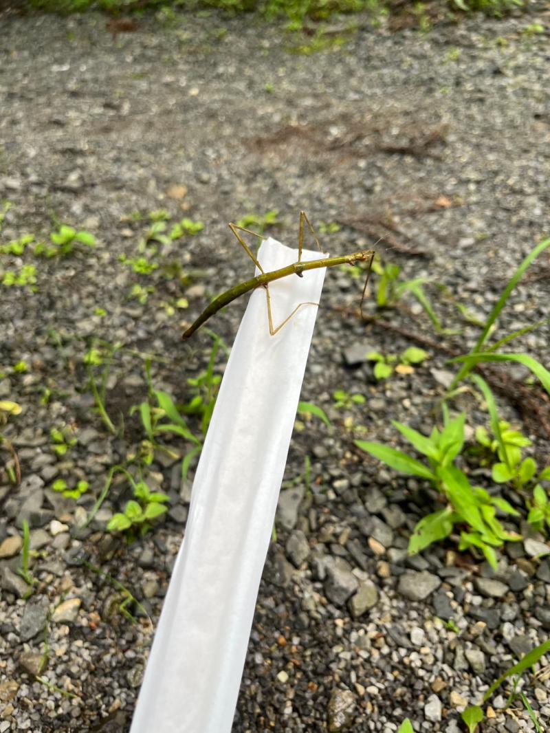 キャンプ カワサキトーヨー住器 那須那珂川のブログ 写真4