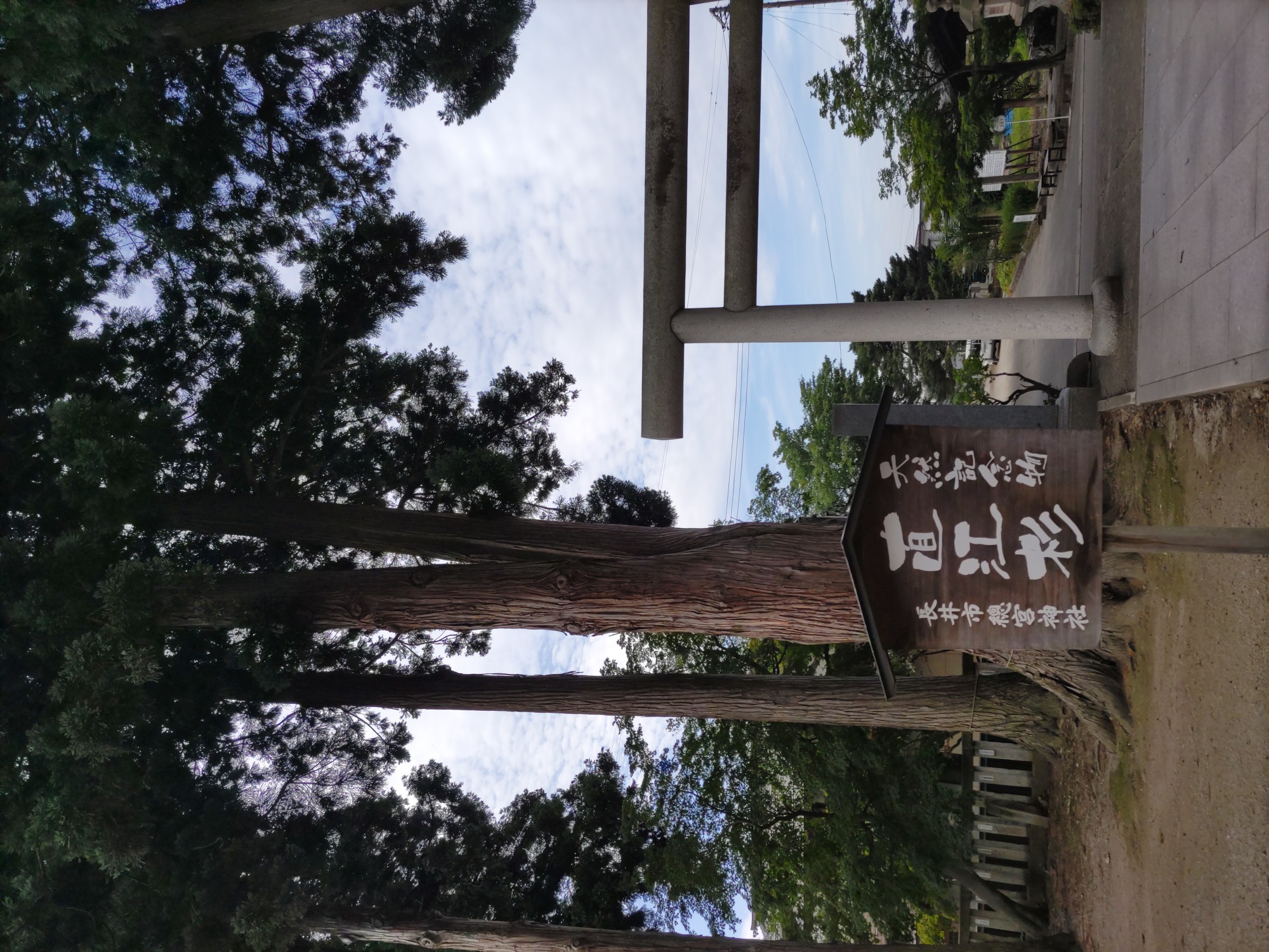 散歩 カワサキトーヨー住器 那須那珂川のブログ 写真3