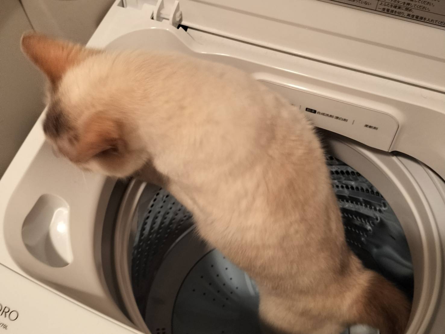 最近の カワサキトーヨー住器 那須那珂川のブログ 写真1