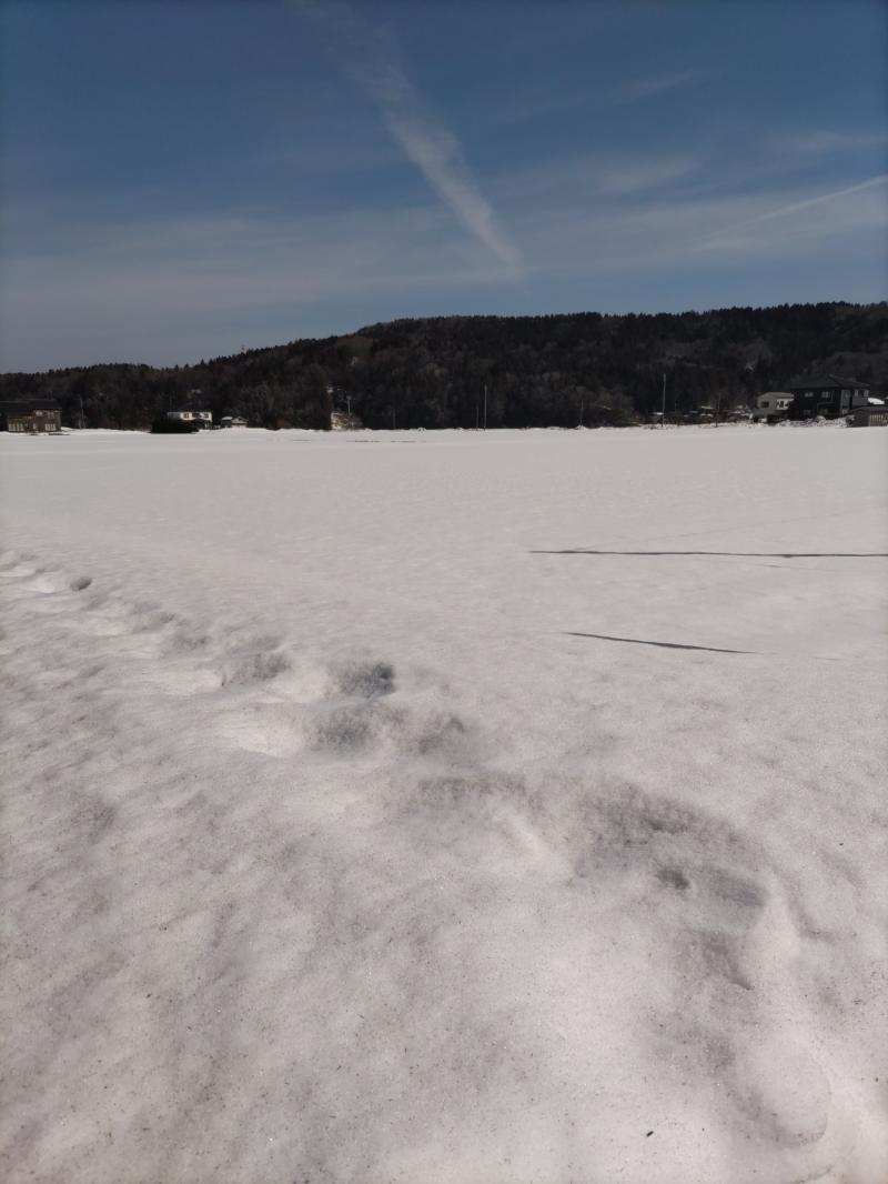 新潟県 カワサキトーヨー住器 那須那珂川のブログ 写真1