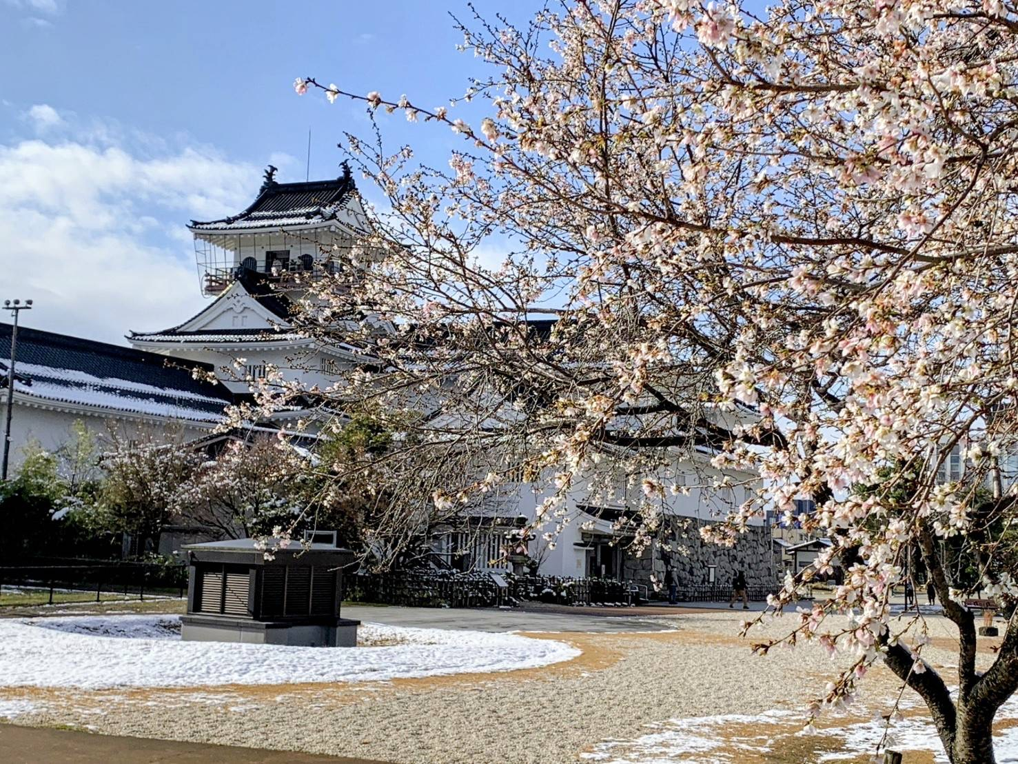 お客様からの嬉しいメッセージとお写真をいただきました🌸 アイプラン今井ガラス建材のブログ 写真3