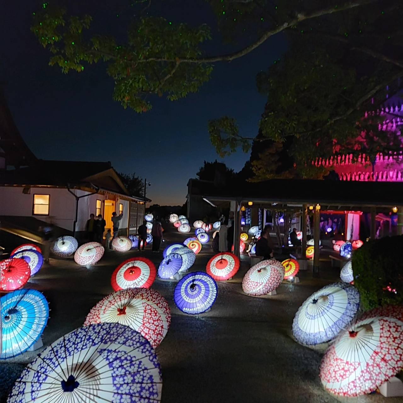 ＊＊＊お出かけ日和＊＊＊ 末次トーヨー住器のブログ 写真6