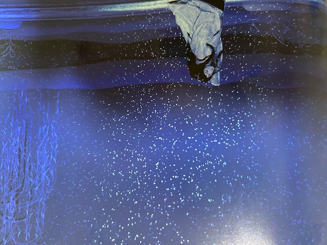 秋の夜長にむけて 末次トーヨー住器のブログ 写真2