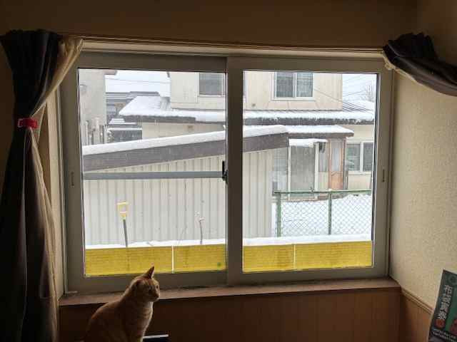 井口ガラスサッシ工業の内窓工事のご依頼は井口ガラスサッシ工業への施工前の写真1