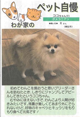 ココちゃん、デビューです！！ TGネクストのブログ 写真1