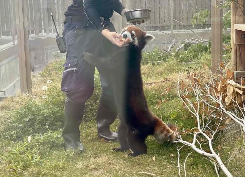 桐生が岡動物園 TGネクストのブログ 写真3