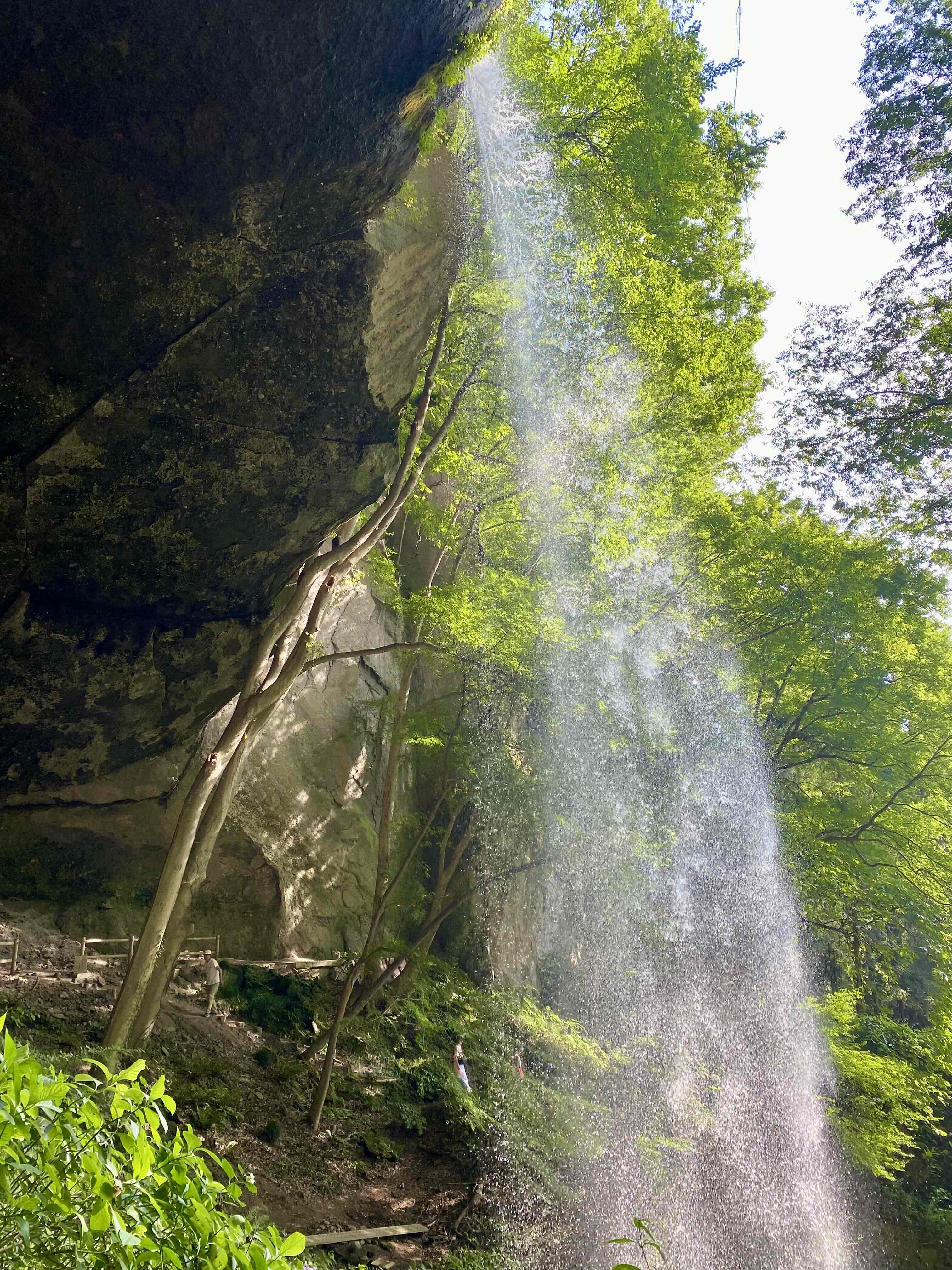 滝を見に行ってきました! TGネクストのブログ 写真2