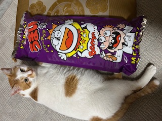 特大うまい棒40本入り AKBT 土崎港店のブログ 写真3