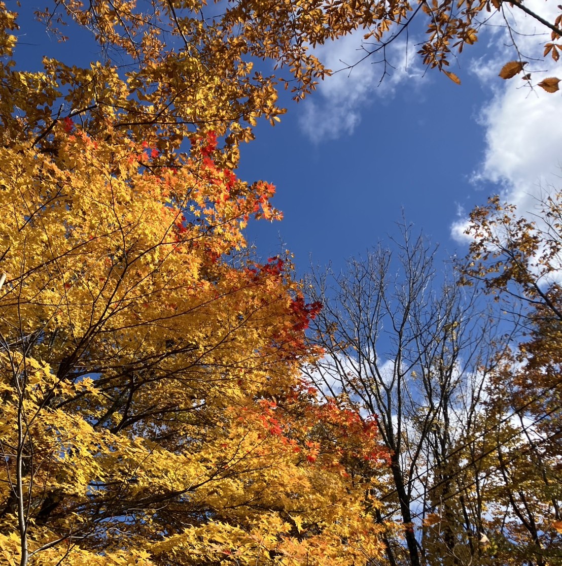 AKBT土崎港店【温泉ブログ】志張温泉元湯♨ AKBT 土崎港店のブログ 写真2