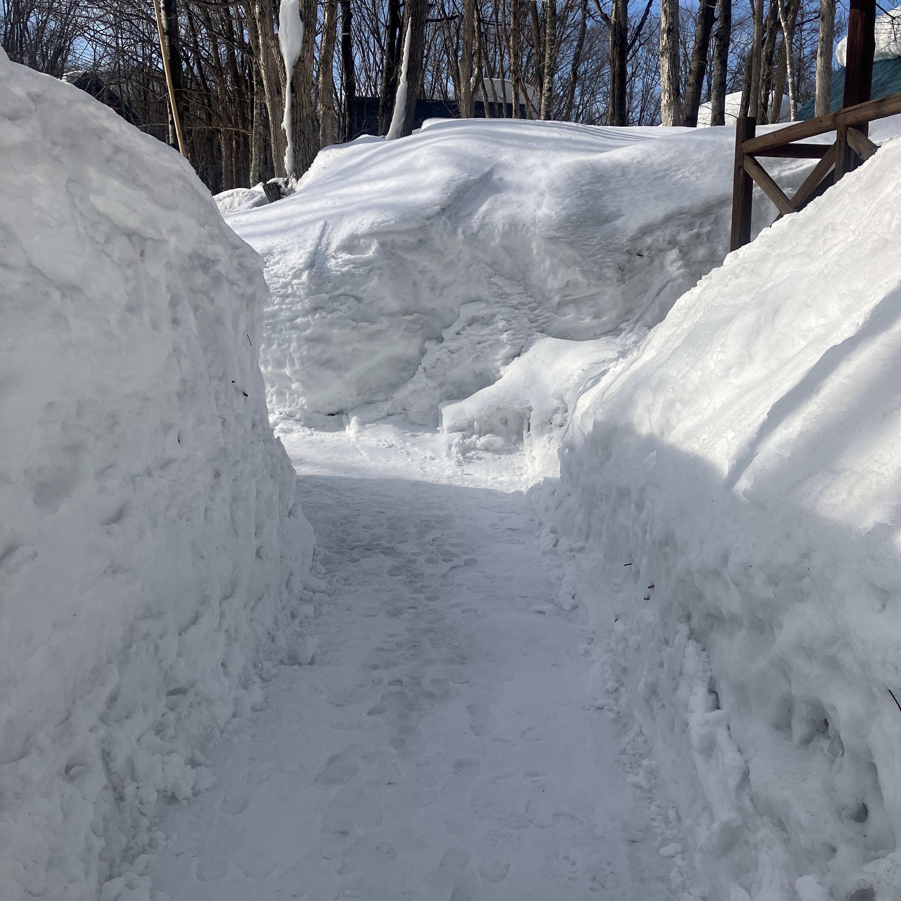記録的な大雪😵 秋田ビルテックのブログ 写真3