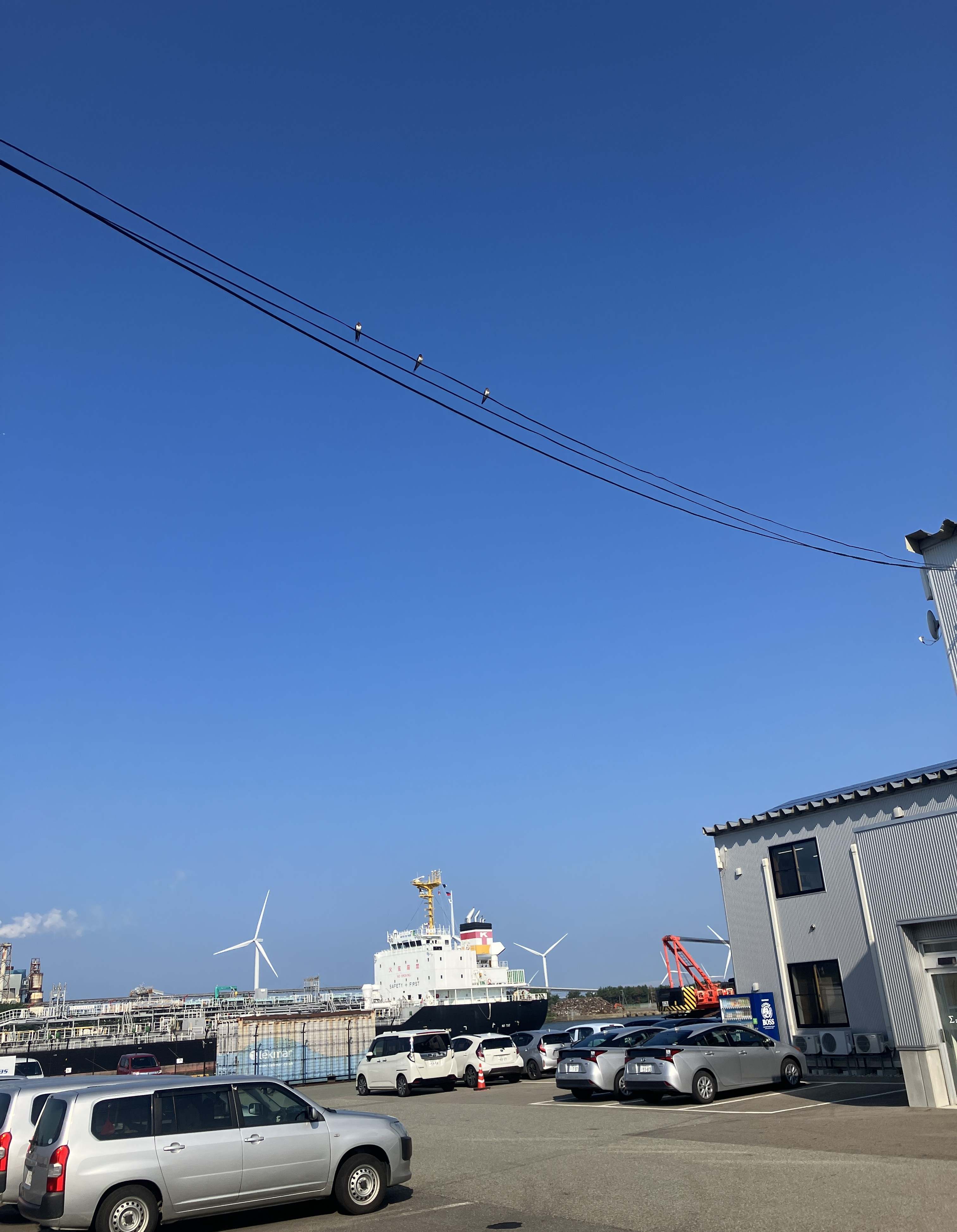 AKBT土崎港店【鳥ブログ】🐦 AKBT 土崎港店のブログ 写真1