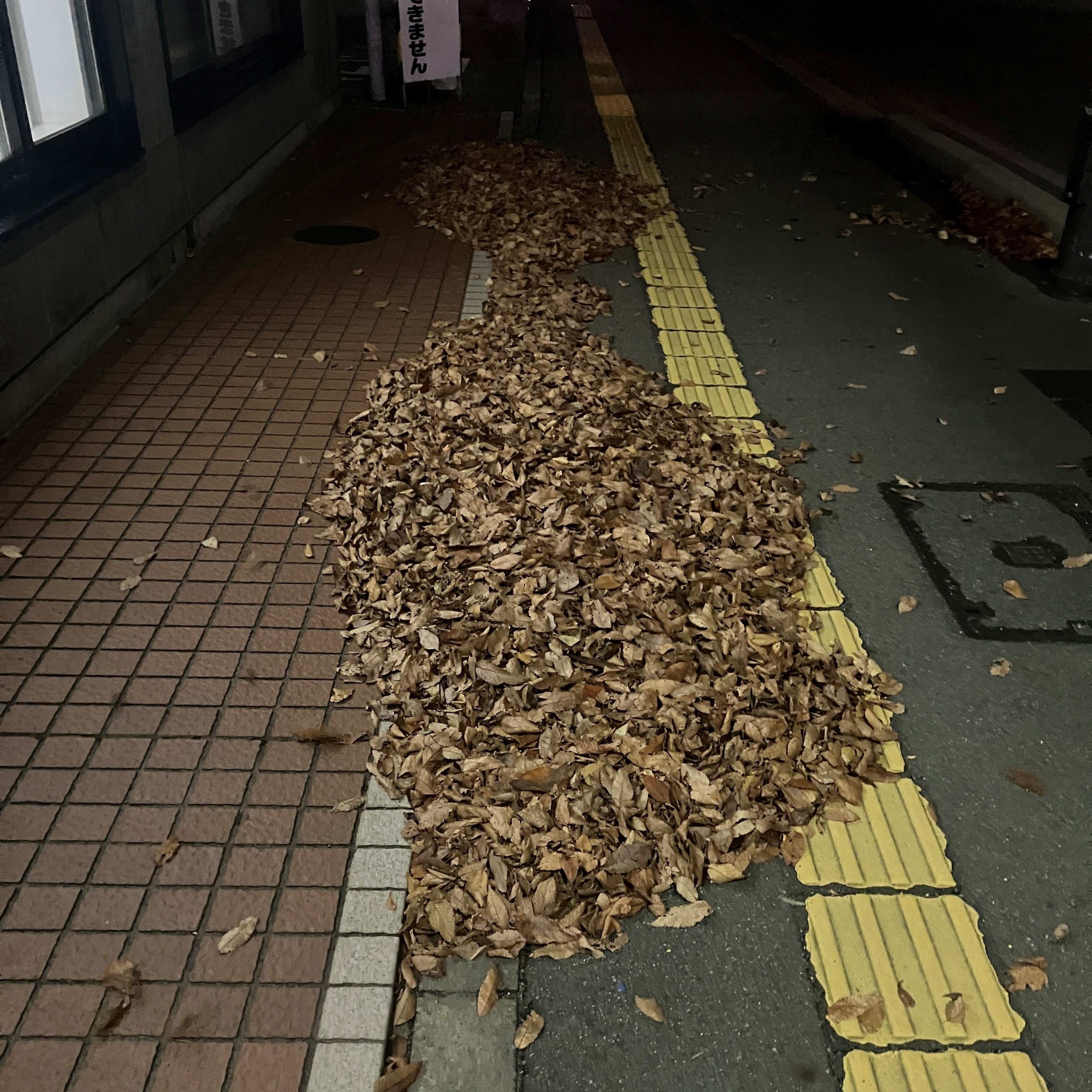 強風・暴風🌀 秋田ビルテックのブログ 写真2