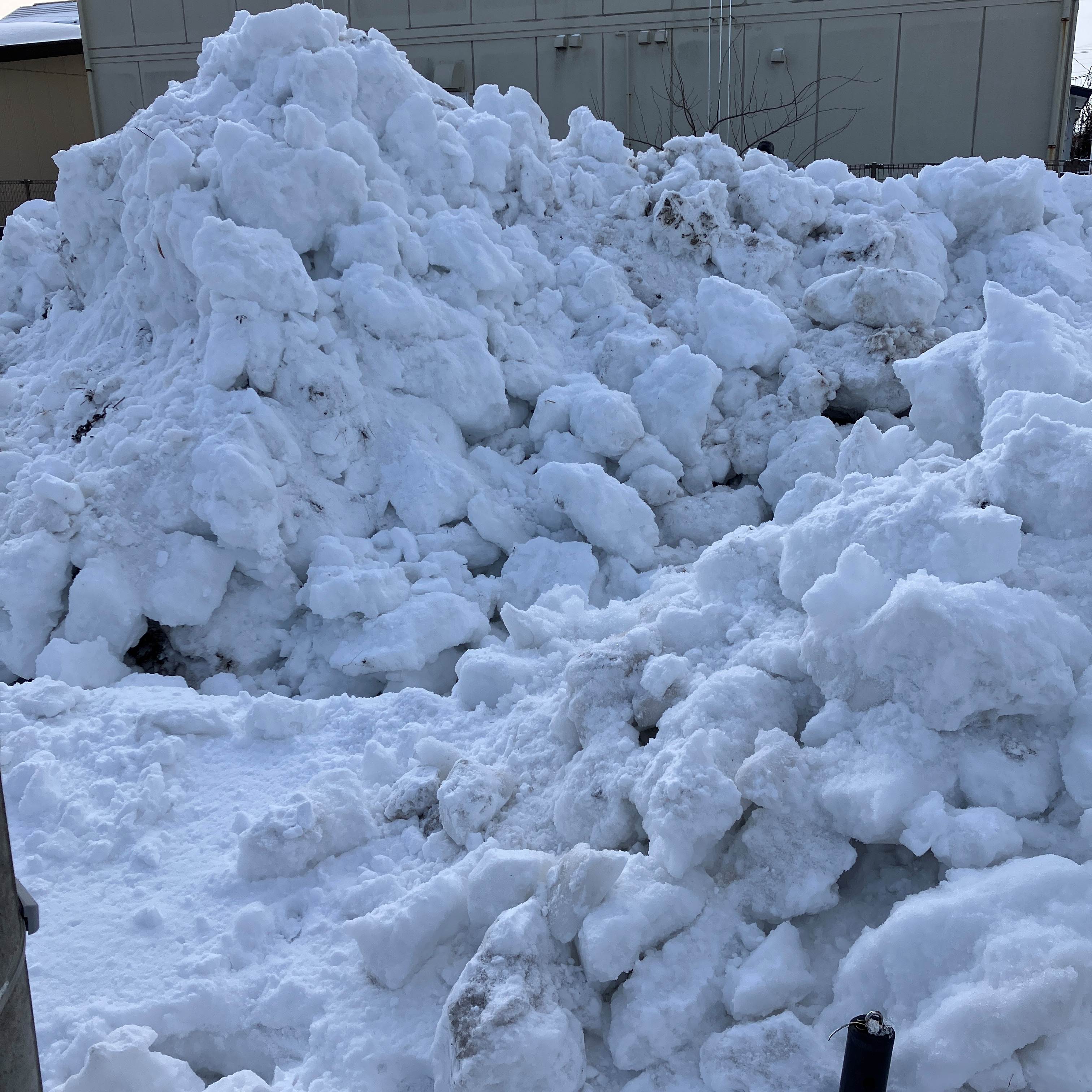 ⛄除排雪ボランティア⛄ 秋田ビルテックのブログ 写真1