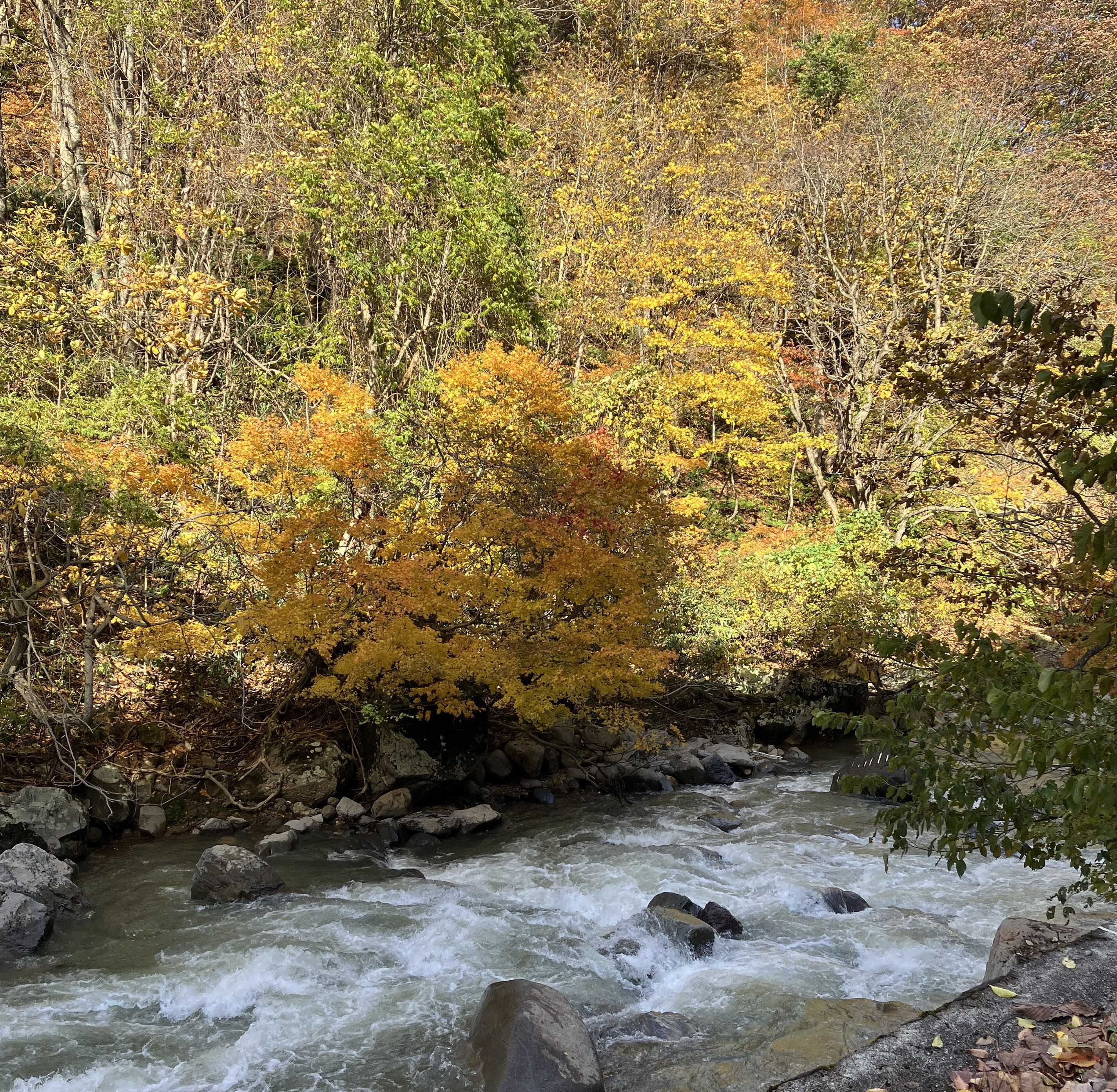 AKBT土崎港店【温泉ブログ】志張温泉元湯♨ AKBT 土崎港店のブログ 写真3