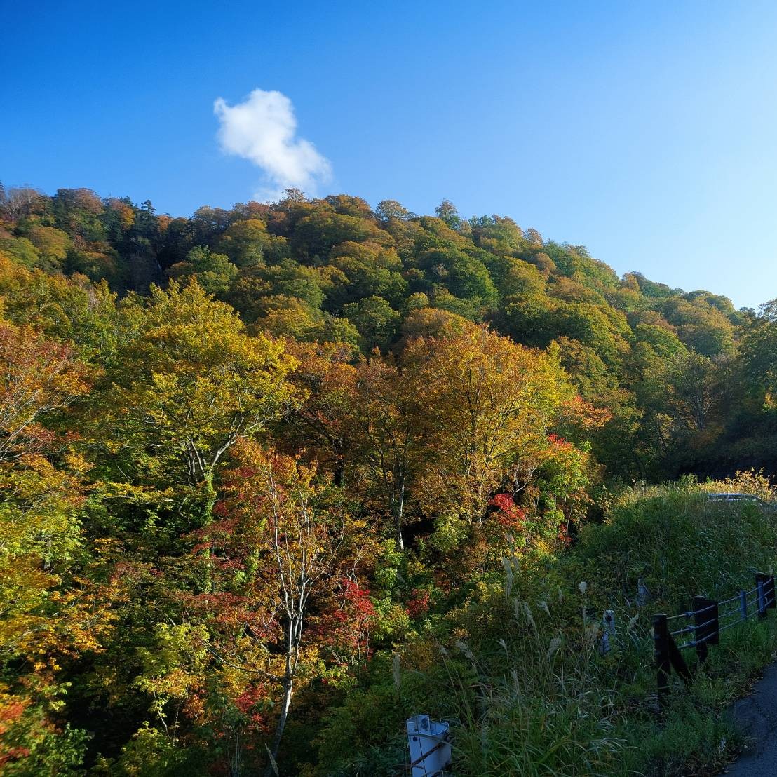 八幡平にお出かけ😉 AKBT 土崎港店のブログ 写真2