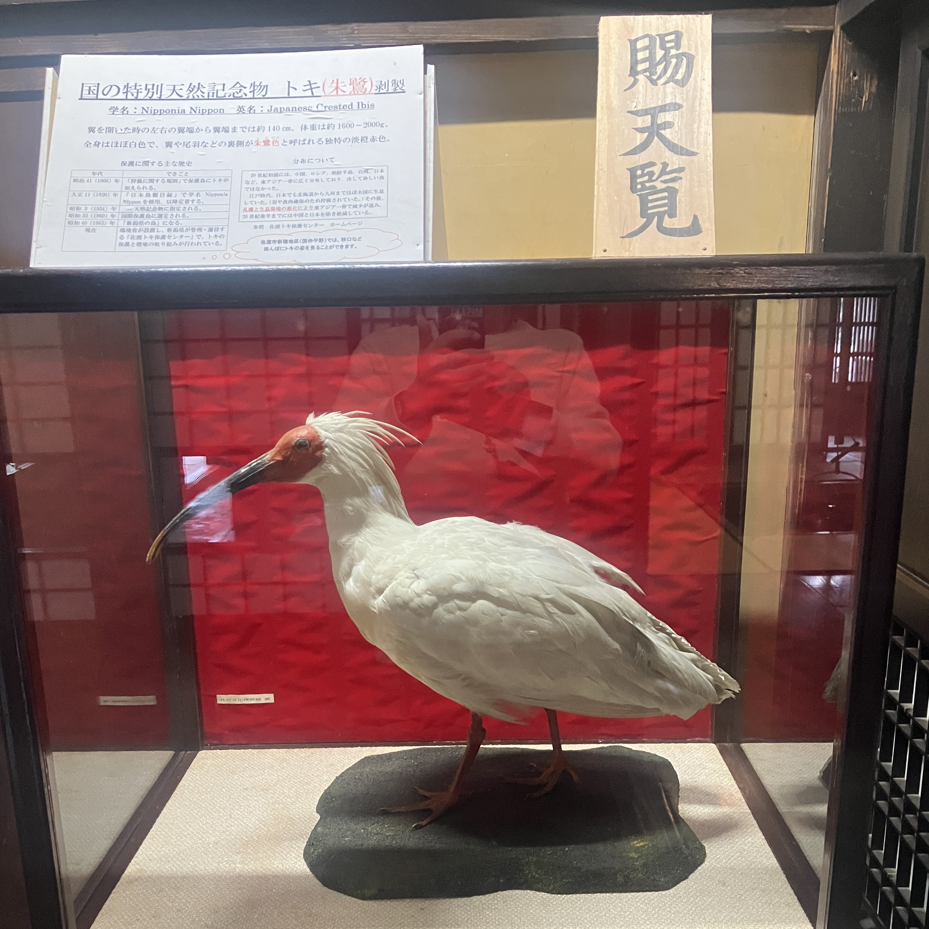 研修親睦会バス旅行に参加⑤（新潟へ）😊 秋田ビルテックのブログ 写真1