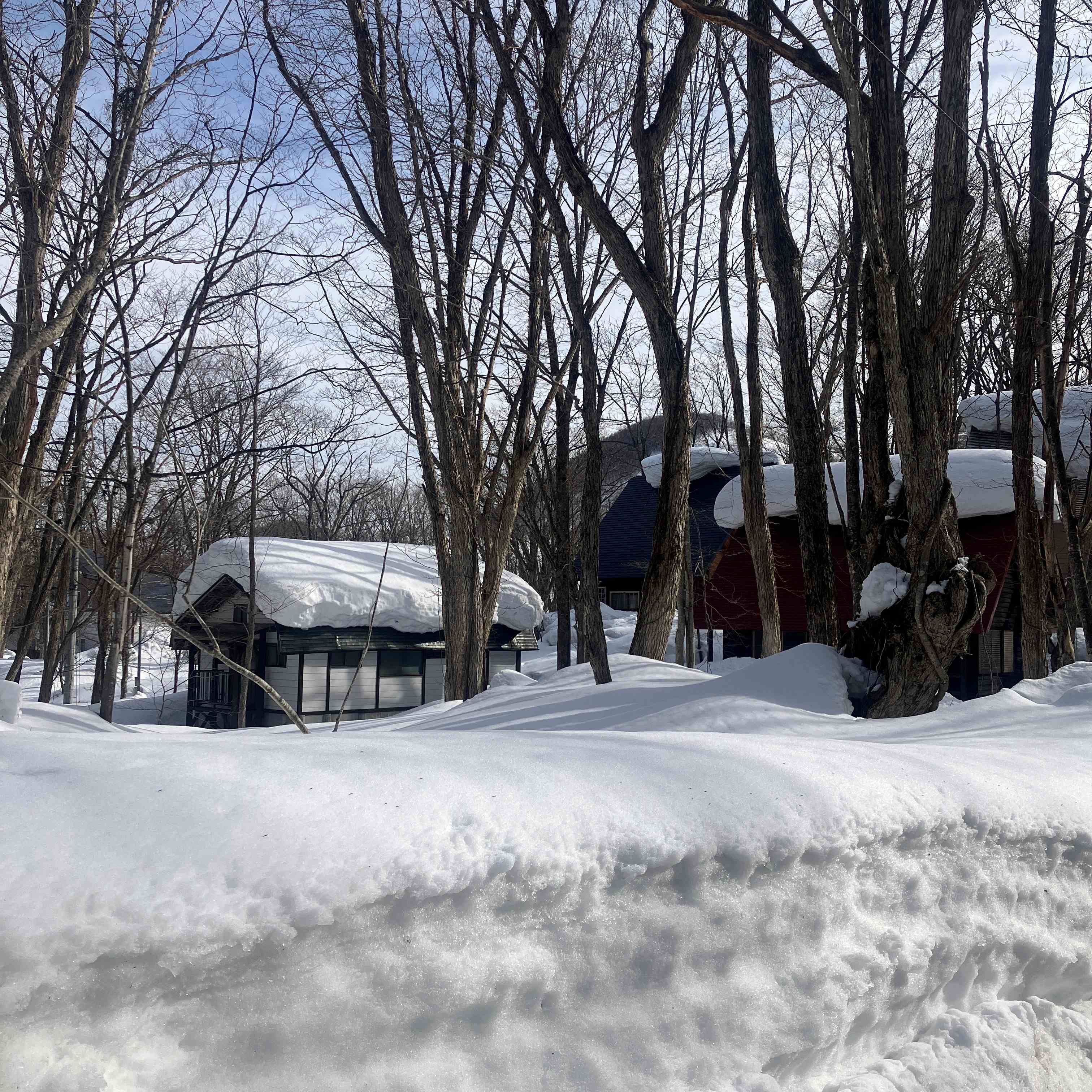 記録的な大雪😵 秋田ビルテックのブログ 写真5