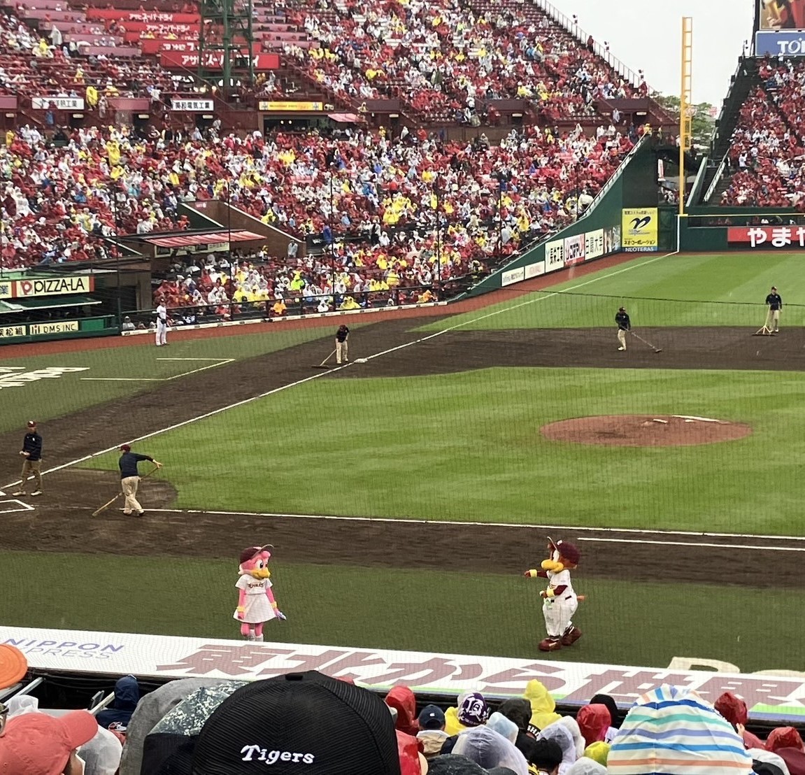 楽天vs阪神交流戦観戦⚾ AKBT 土崎港店のブログ 写真2