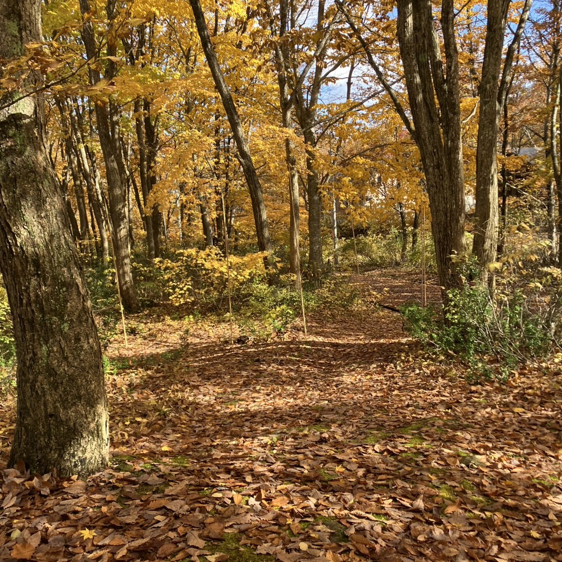 AKBT土崎港店【温泉ブログ】志張温泉元湯♨ AKBT 土崎港店のブログ 写真1