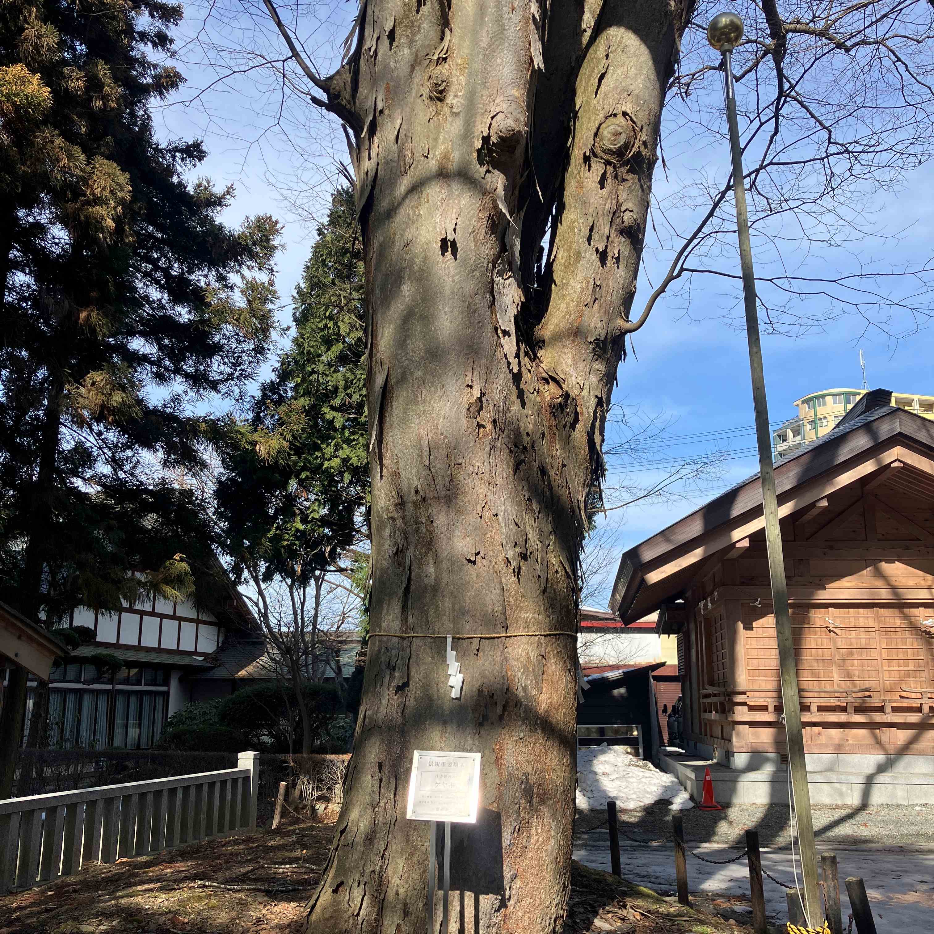 【神社⛩参拝ブログ】😌 秋田ビルテックのブログ 写真2