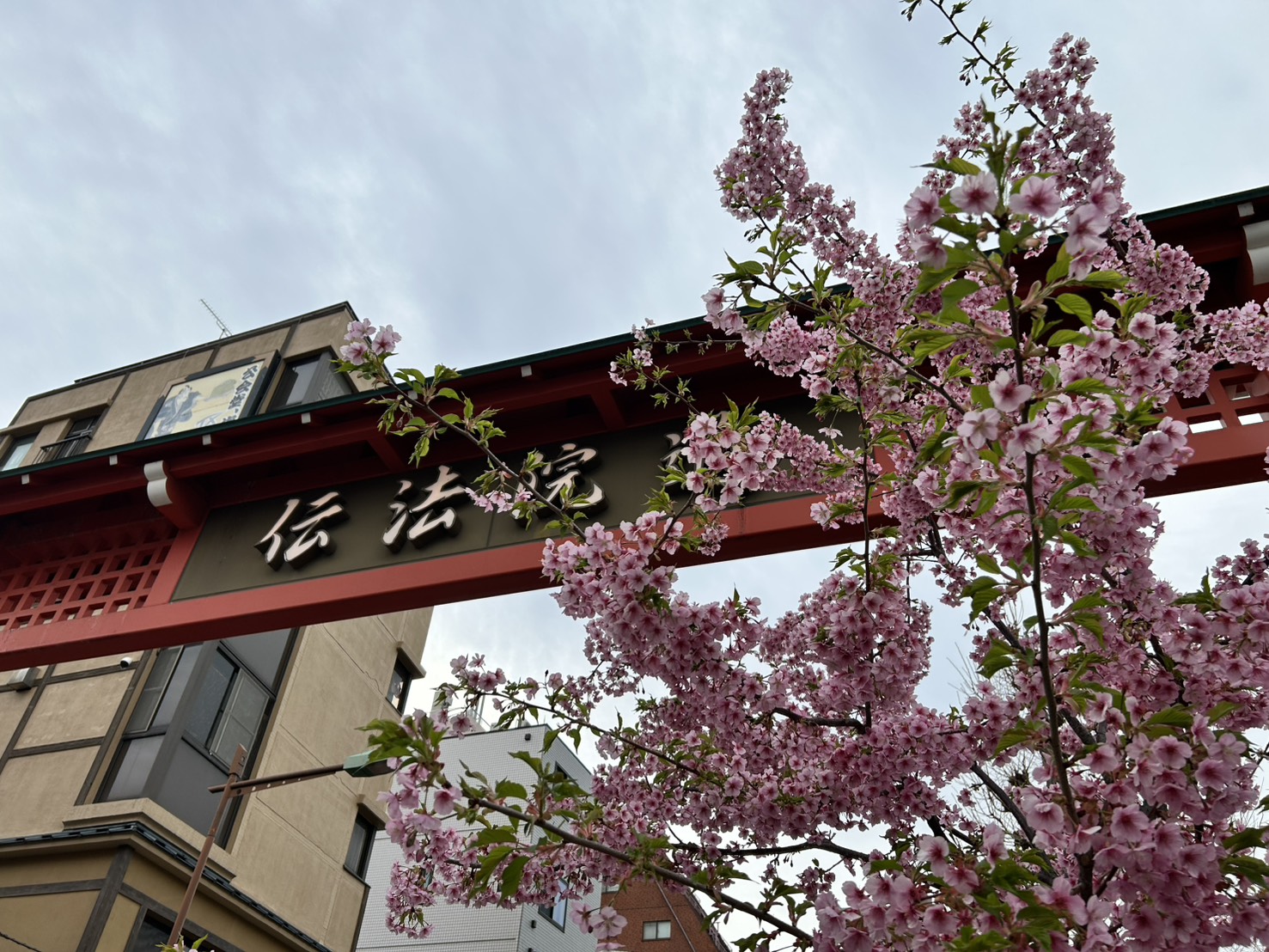🗼はとバスツアー🗼 秋田ビルテックのブログ 写真7