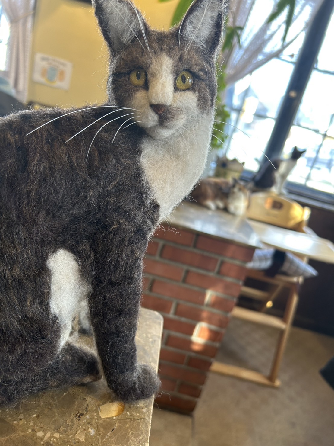 AKBT土崎港店【カフェブログ】 AKBT 土崎港店のブログ 写真2