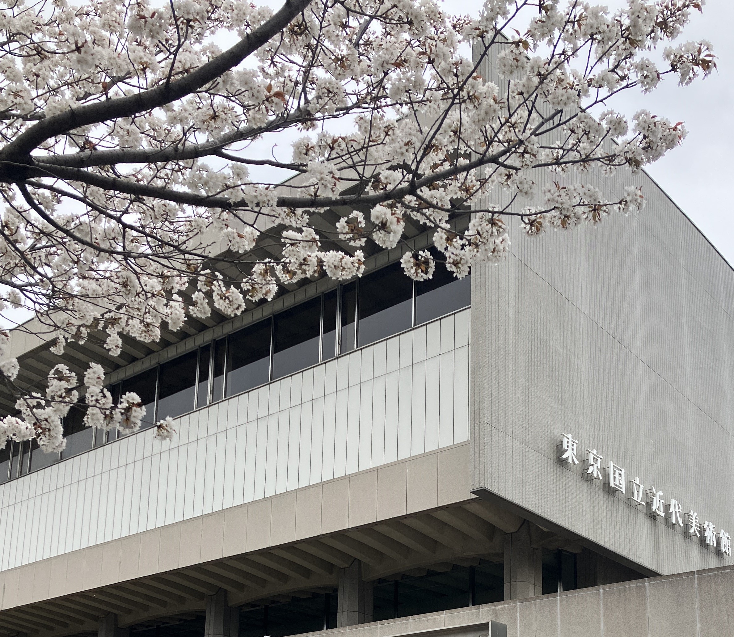 🌸2025年 花見ブログ🌸　遠方編 AKBT 土崎港店のブログ 写真3