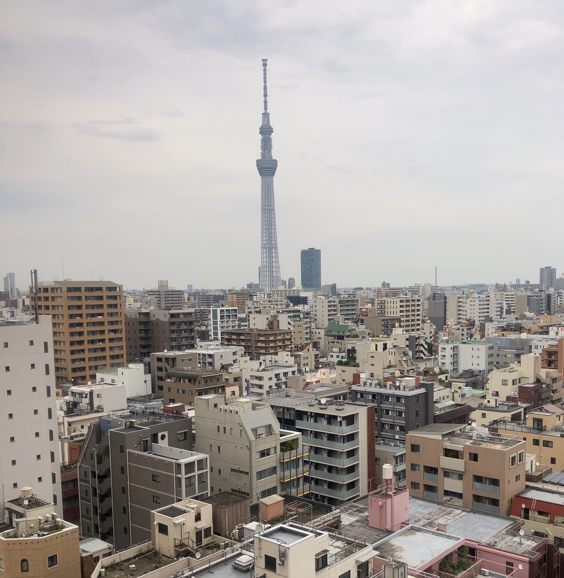 6/9(月)またしても東京出張💼① AKBT 土崎港店のブログ 写真3