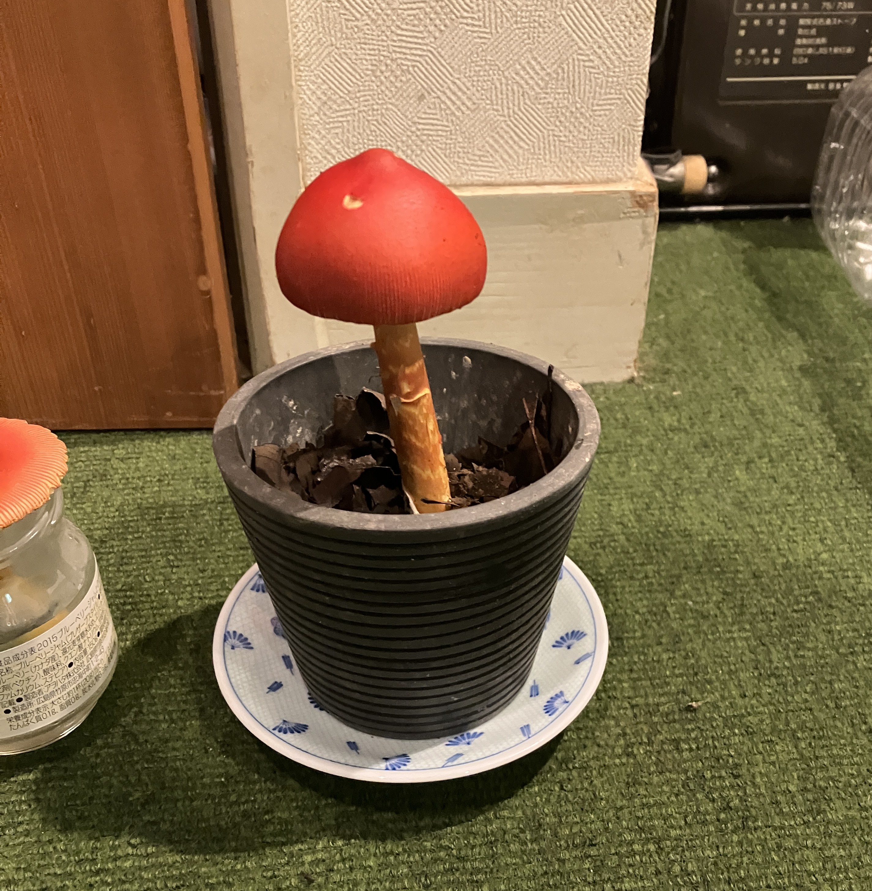 AKBT土崎港店【キノコ ブログ】タマゴタケ🍄 AKBT 土崎港店のブログ 写真5