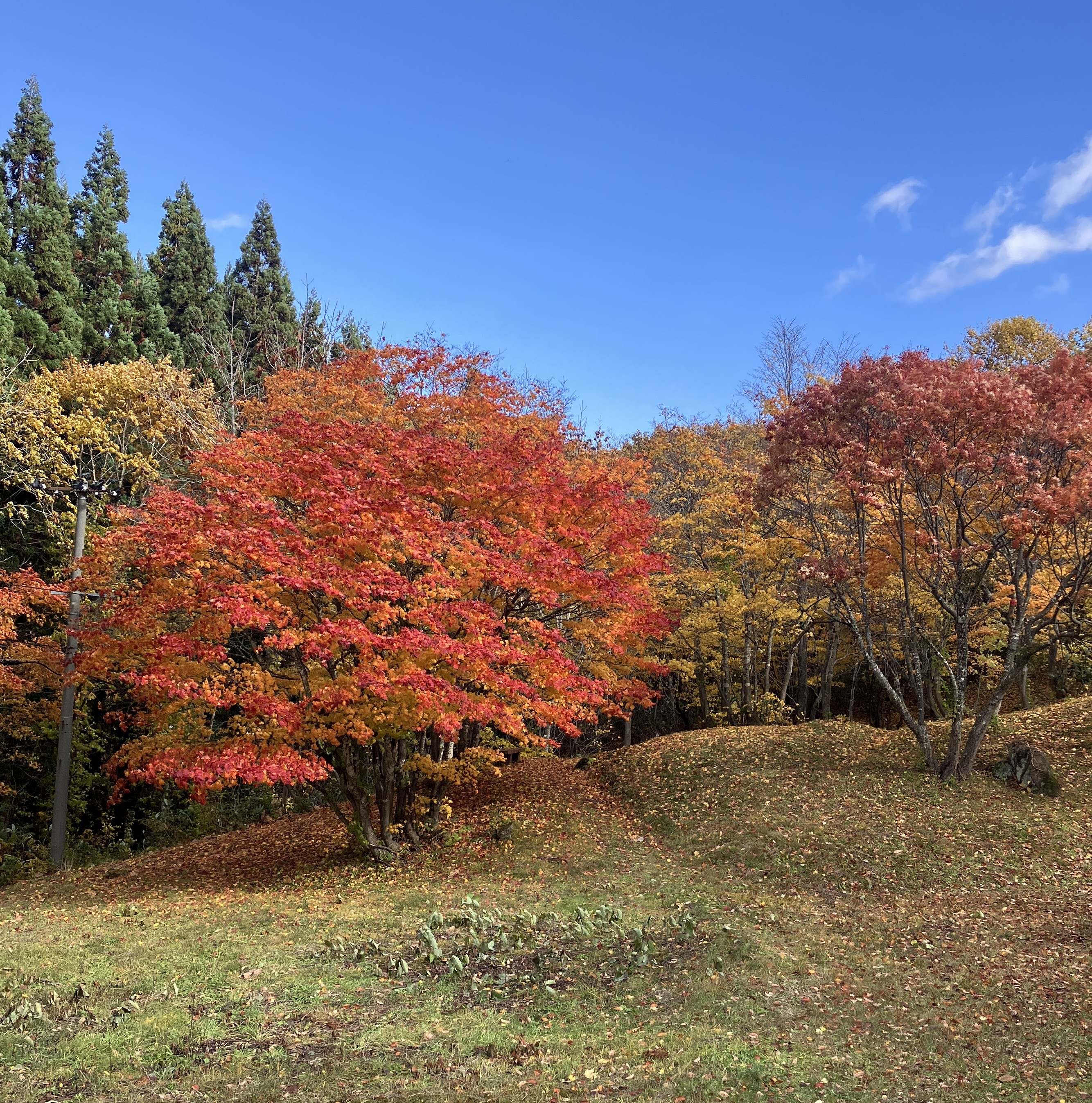 冬季間通行止め・・・アスピーテライン⛰ AKBT 土崎港店のブログ 写真3
