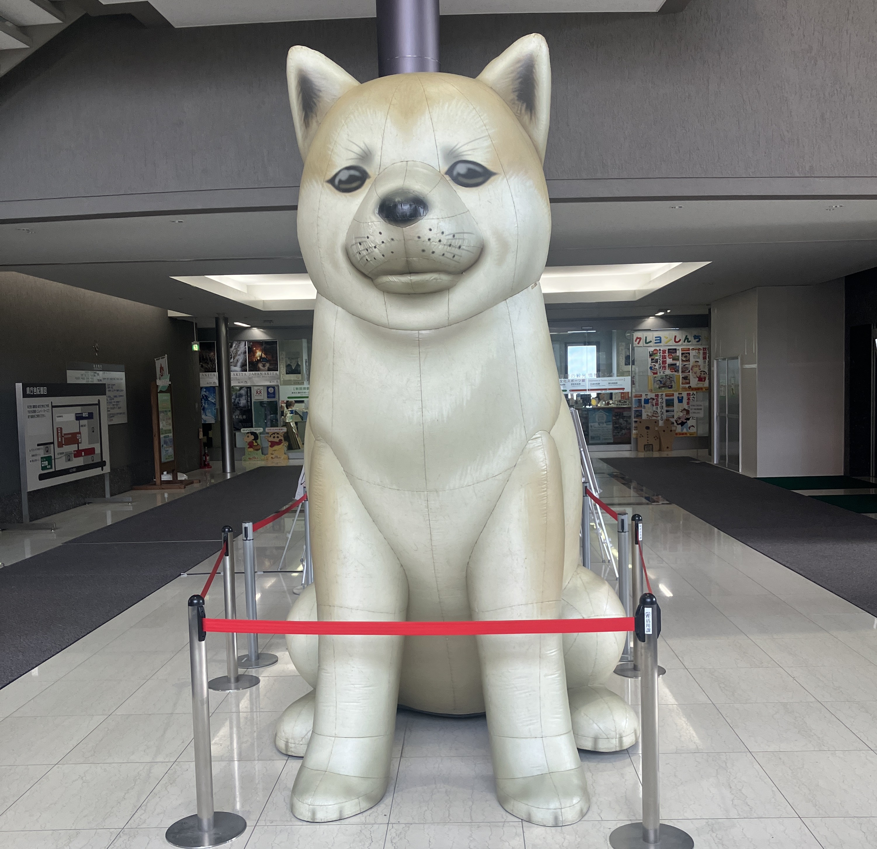 秋田県庁 第二庁舎にて😊 AKBT 土崎港店のブログ 写真1