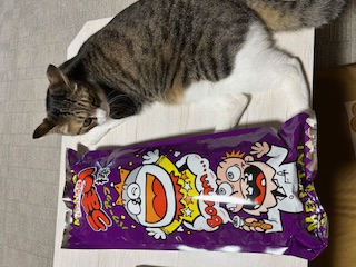 特大うまい棒40本入り AKBT 土崎港店のブログ 写真2