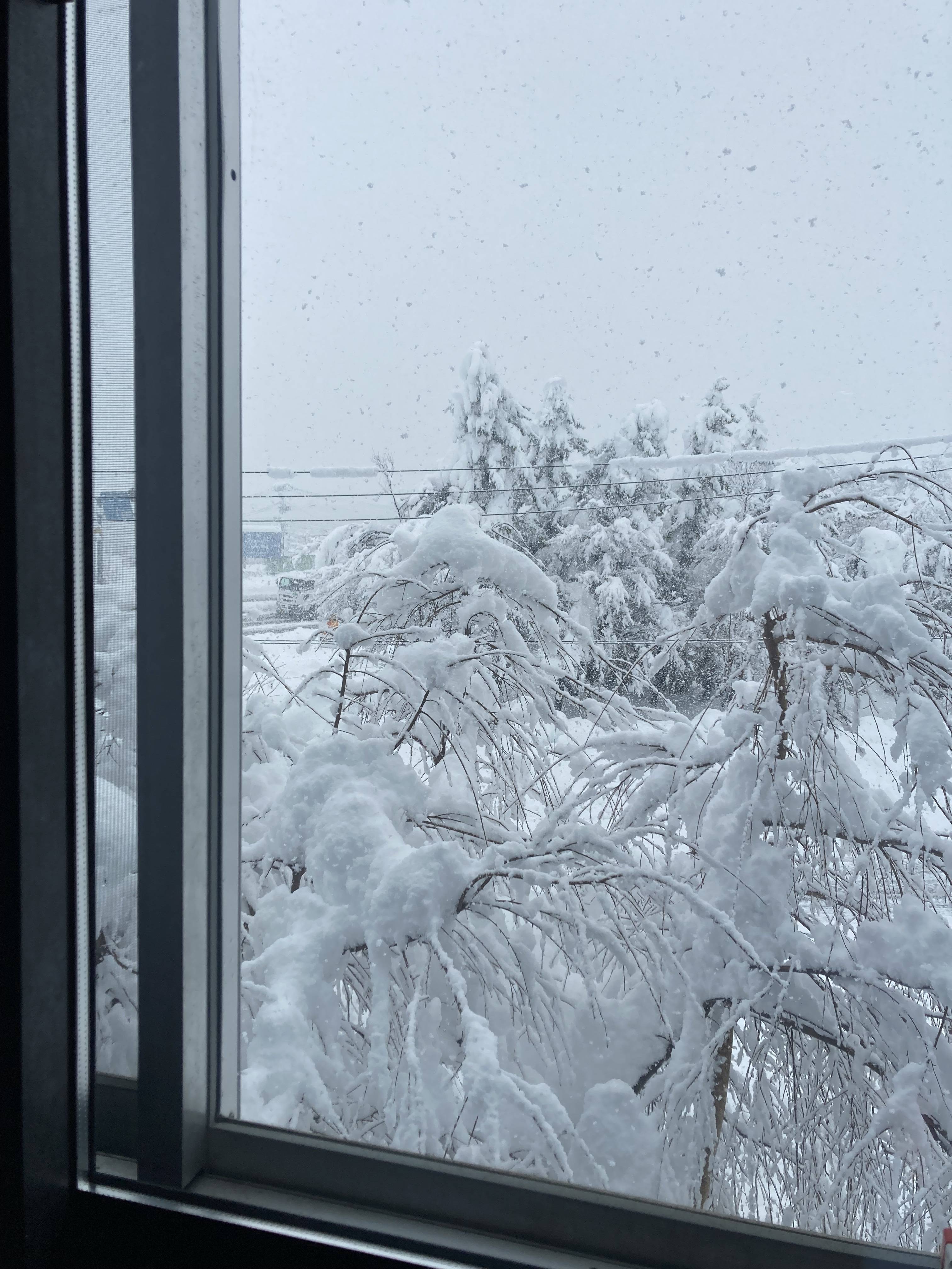 本社（新潟県長岡市）にて⛄ スミック 渋川店のブログ 写真2