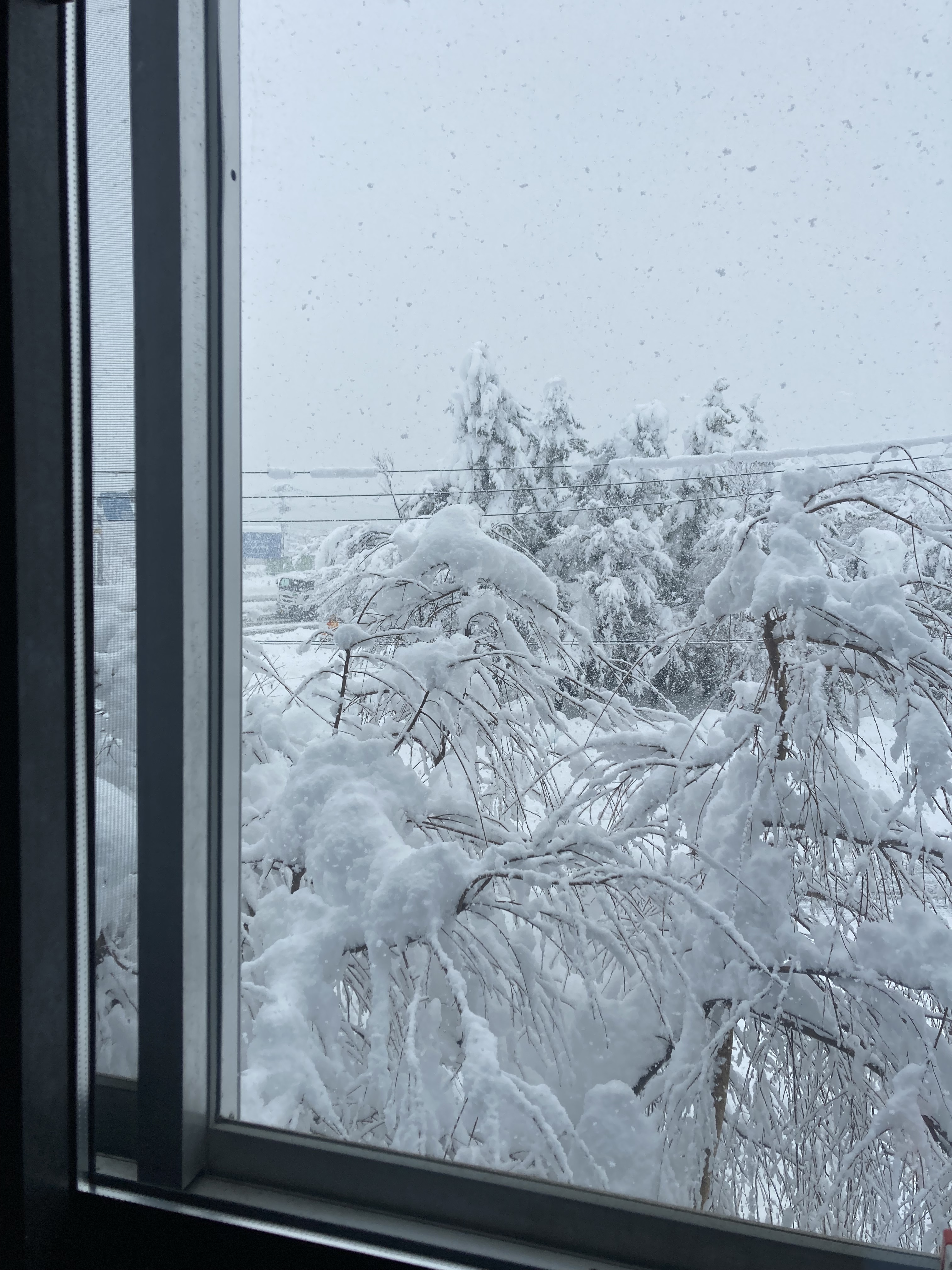 雪害にご注意ください⛄ スミック 渋川店のブログ 写真1