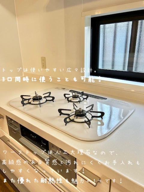 エクセルのRICHELLE SI｜キッチン｜リフォームの施工後の写真3