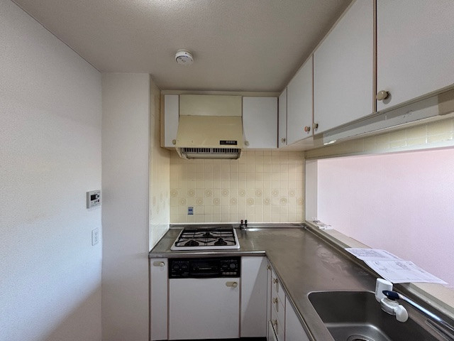 エクセルのリシェル｜キッチン｜リフォームの施工前の写真3