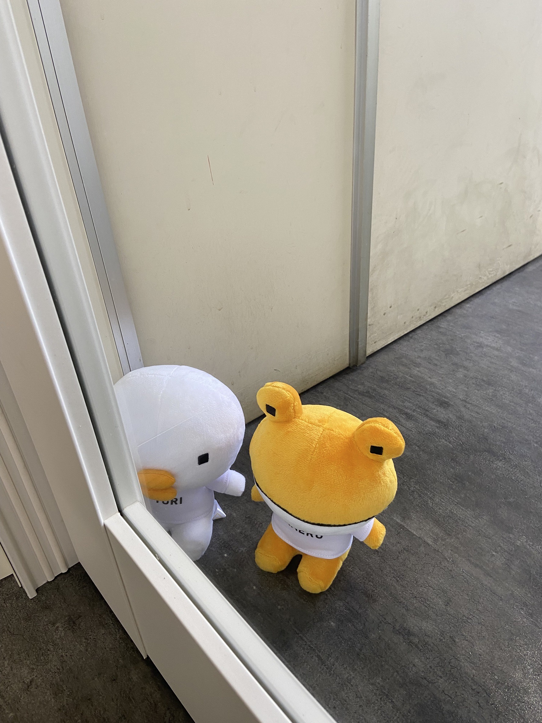 社内に引戸を取付けました！！ 小倉トーヨー住器のブログ 写真7