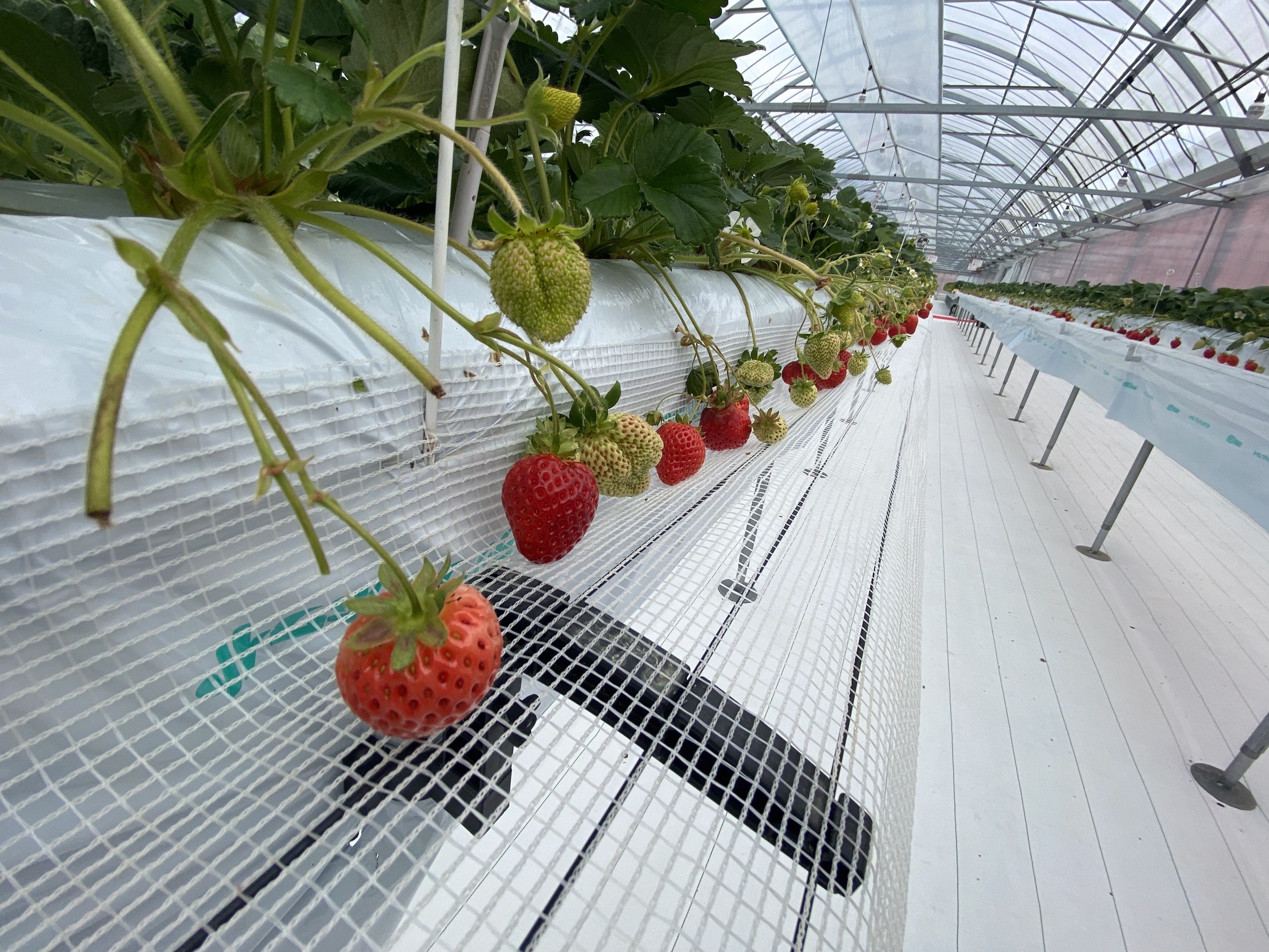小倉トーヨー住器冬の遠足 小倉トーヨー住器のブログ 写真3