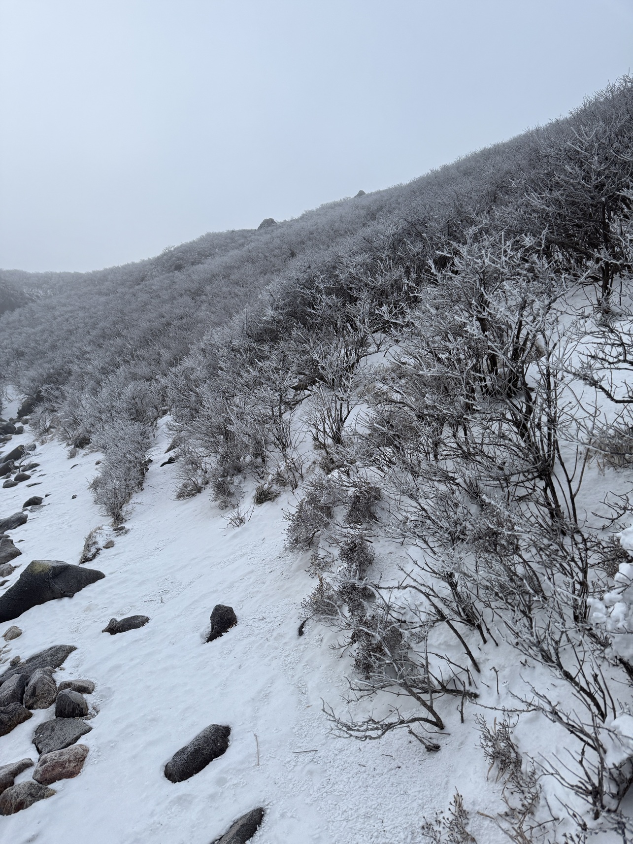 社長日記 小倉トーヨー住器のブログ 写真3