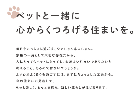 みとよの網戸にペットドアの施工事例詳細写真1