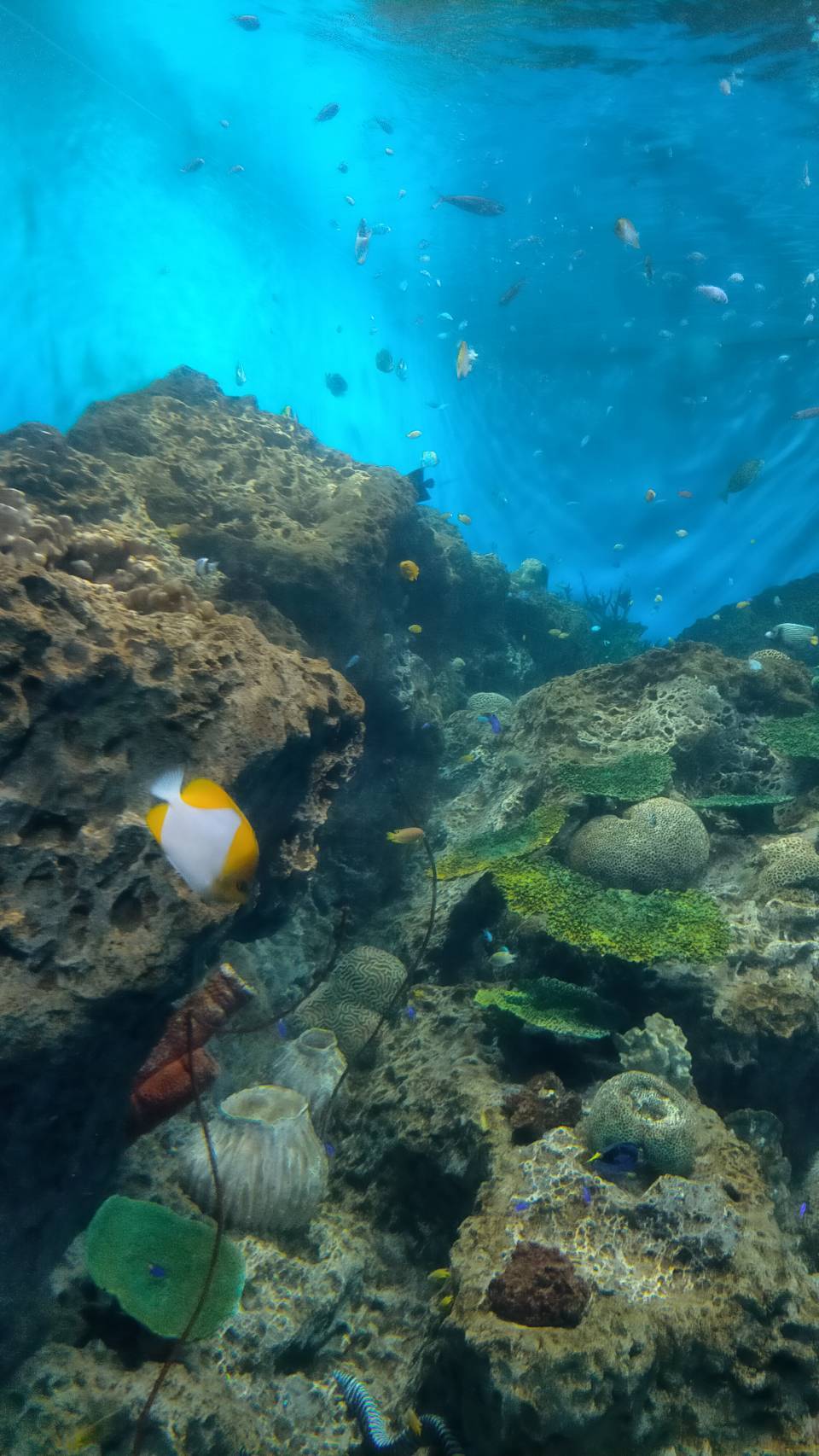 水族館に行ってきました！ Reプレイス高崎のブログ 写真1