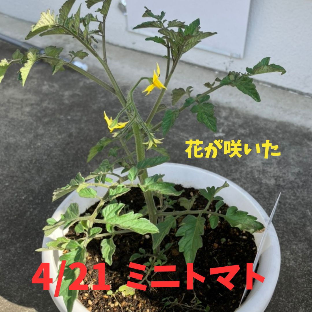 寒さがなくなったので動きたくなりました♪ Reプレイス高崎のブログ 写真1