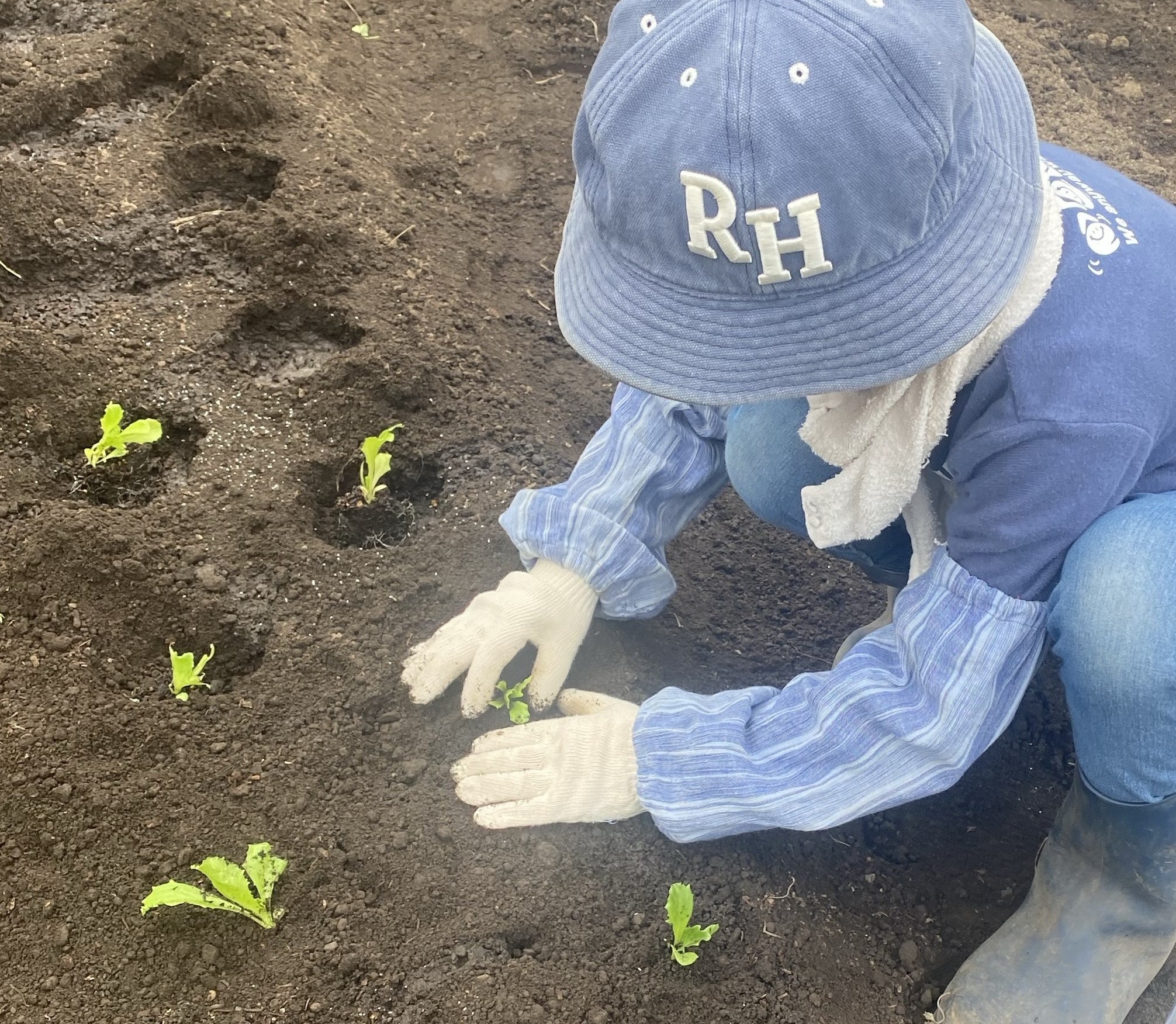 畑仕事🍃 Reプレイス高崎のブログ 写真2