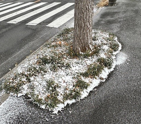 🙋‍♂️Nobuの今日健康メモ📚2026/2/8…🏠自宅に帰ると寒さを感じてしまう😣 筑豊トーヨーのブログ 写真1