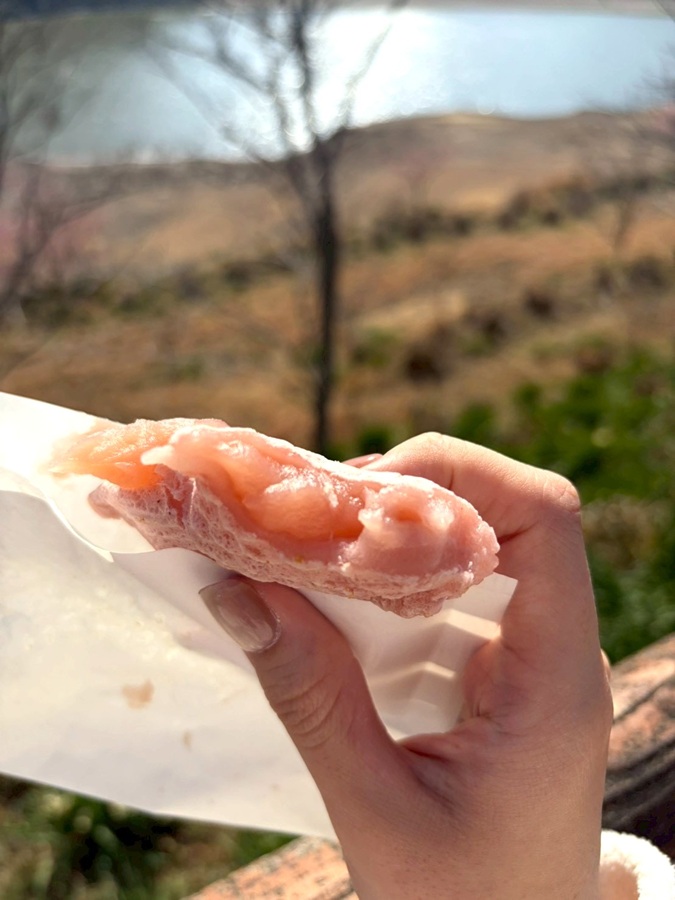 お花見 千葉南トーヨー住器のブログ 写真2