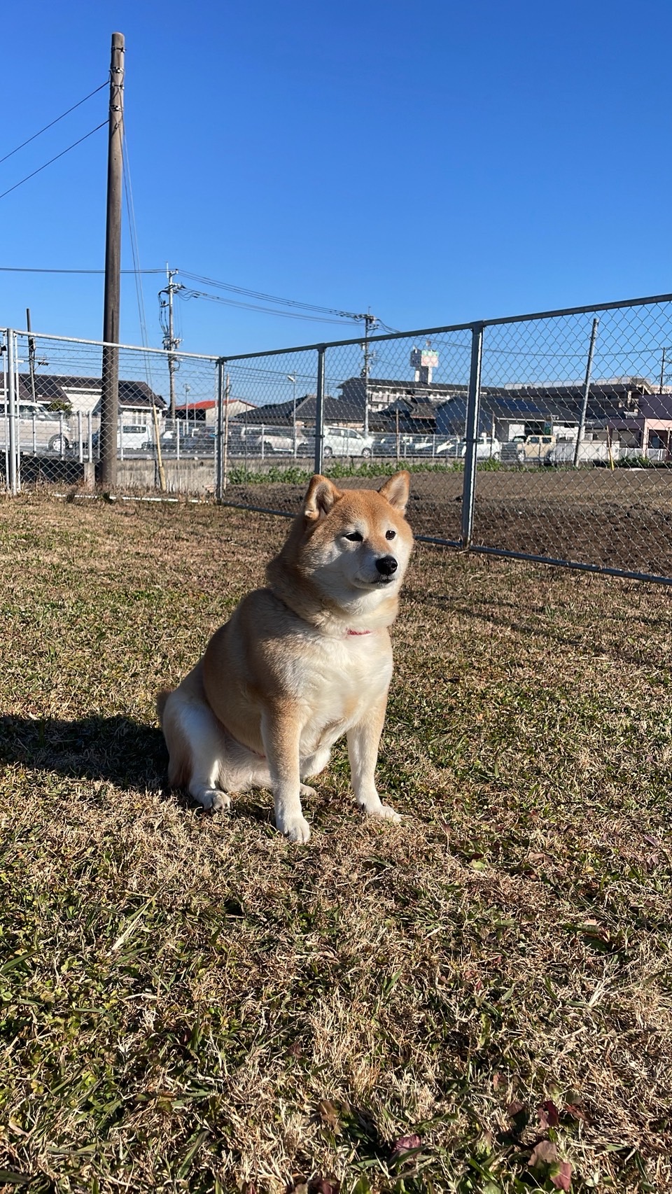 本年もよろしくお願いいたします！ フェニックストーヨー住器のブログ 写真1