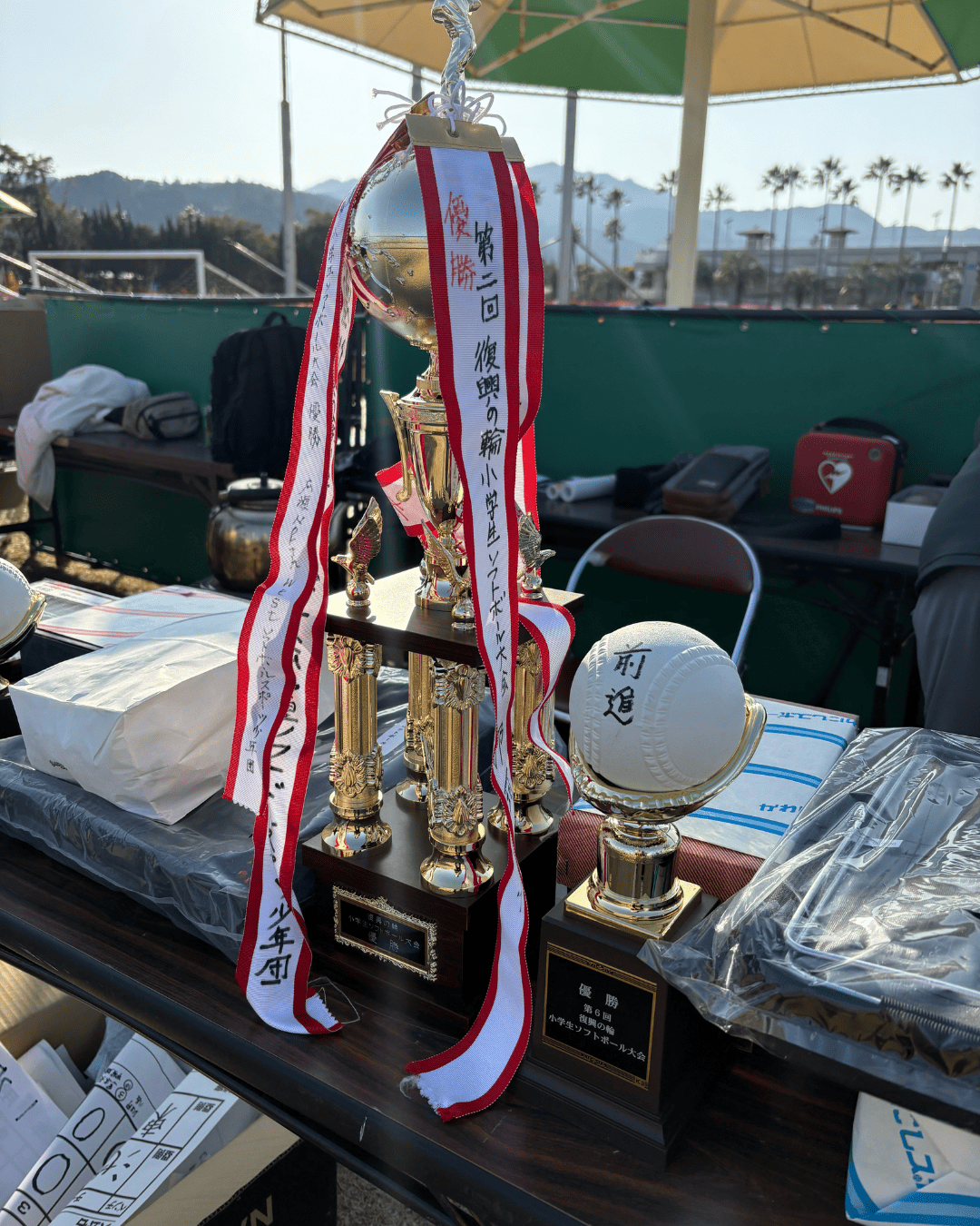 第6回球極会 大会報告 フェニックストーヨー住器のブログ 写真1